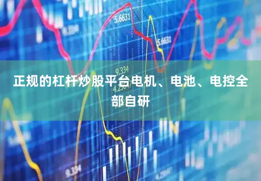 正规的杠杆炒股平台电机、电池、电控全部自研